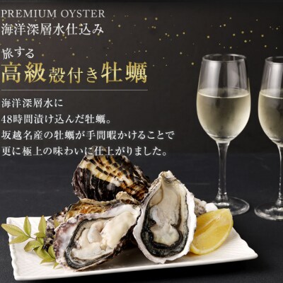 【国産】殻付き牡蠣旅する牡蠣プレミアムオイスター室戸海洋深層水 坂越12～15個入り