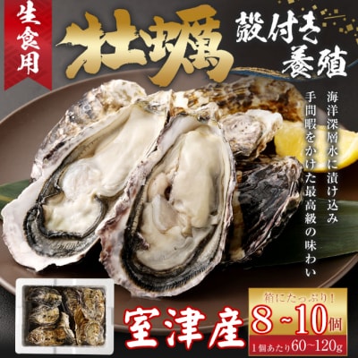 【国産】殻付き牡殻付き牡蠣旅する牡蠣プレミアムオイスター室戸海洋深層水 室津8～10個入り 