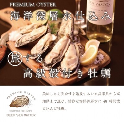 国産 殻付き牡蠣旅する牡蠣プレミアムオイスター室戸海洋深層水 室津12 15個入り お礼品詳細 ふるさと納税なら さとふる