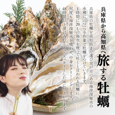 【国産】殻付き牡蠣旅する牡蠣プレミアムオイスター室戸海洋深層水 室津12～15個入り