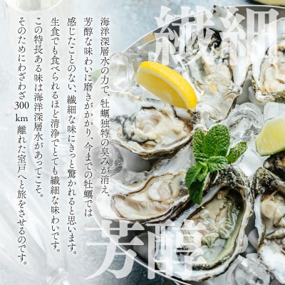 【国産】殻付き牡蠣旅する牡蠣プレミアムオイスター室戸海洋深層水 室津12～15個入り
