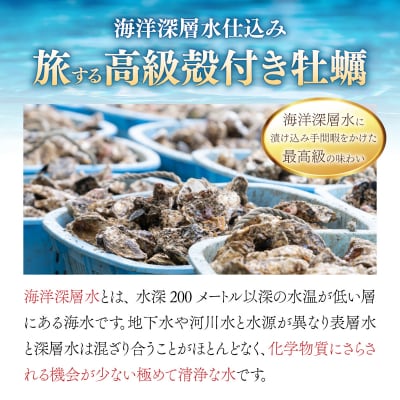 【国産】殻付き牡蠣旅する牡蠣プレミアムオイスター室戸海洋深層水 室津12～15個入り