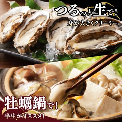【国産】殻付き牡蠣旅する牡蠣プレミアムオイスター室戸海洋深層水 室津12～15個入り