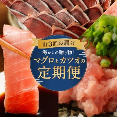 海からの贈り物!マグロとカツオの定期便【3回お届け】