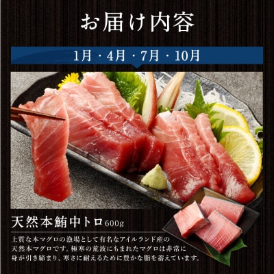 海からの贈り物!マグロとカツオの定期便【3回お届け】