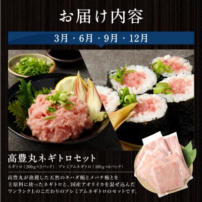 海からの贈り物!マグロとカツオの定期便【3回お届け】