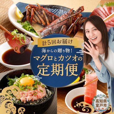海からの贈り物!マグロとカツオの定期便【5回お届け】【コロナ支援 訳あり】