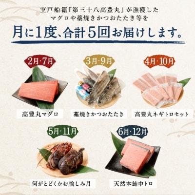 海からの贈り物!マグロとカツオの定期便【5回お届け】【コロナ支援 訳あり】