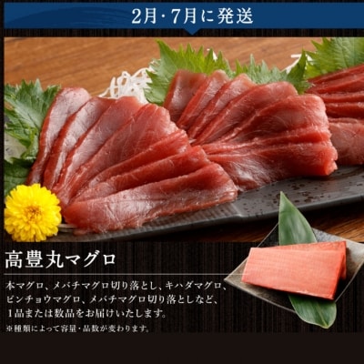 海からの贈り物!マグロとカツオの定期便【5回お届け】【コロナ支援 訳あり】