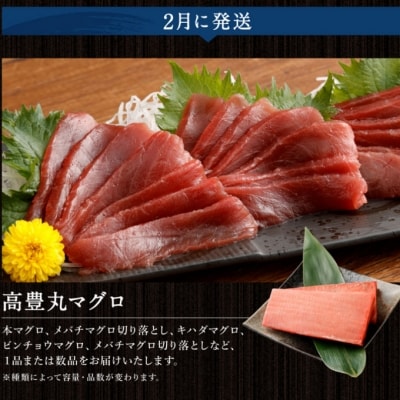 【魚介定期便10回】 マグロ・ネギトロ・かつおのたたき・魚介類加工品などの海鮮セット定期便 訳あり