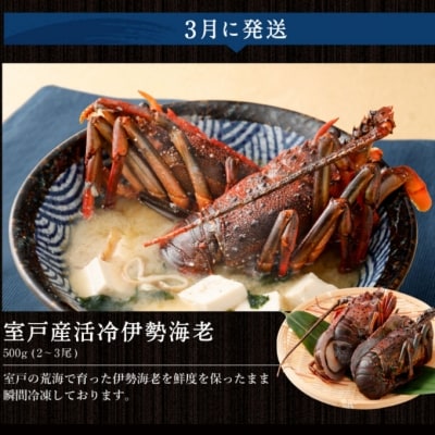 【魚介定期便10回】 マグロ・ネギトロ・かつおのたたき・魚介類加工品などの海鮮セット定期便 訳あり