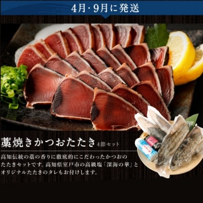 【魚介定期便10回】 マグロ・ネギトロ・かつおのたたき・魚介類加工品などの海鮮セット定期便 訳あり