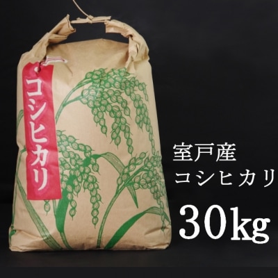 【令和3年産】室戸産新米コシヒカリ30kg