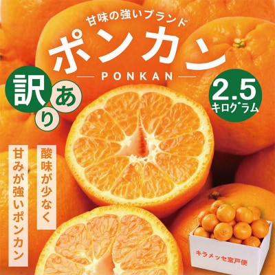 【訳あり】人気の柑橘室戸産ポンカン2.5kg