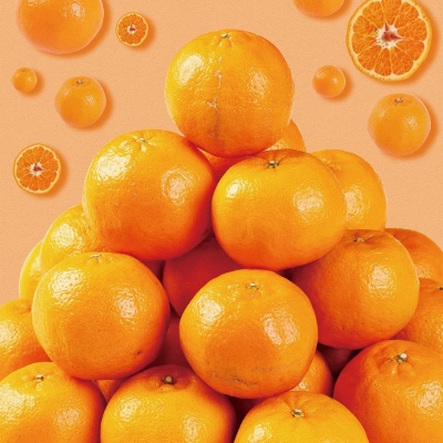 【訳あり】人気の柑橘室戸産ポンカン2.5kg