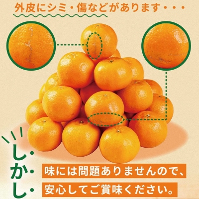 【訳あり】人気の柑橘室戸産ポンカン2.5kg