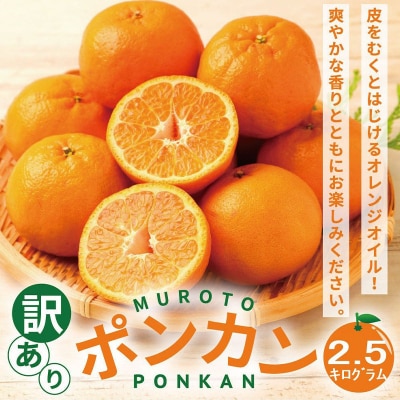 【訳あり】人気の柑橘室戸産ポンカン2.5kg