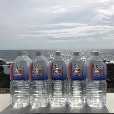 海のミネラルがはいっちゅーぜよセット【2L×10本】