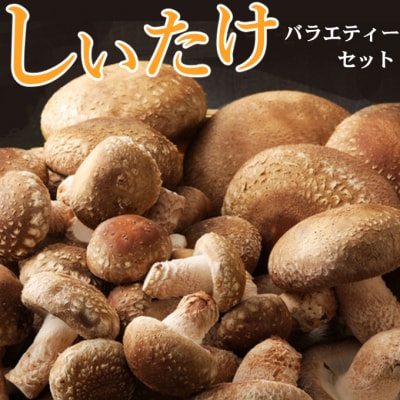 佐喜浜しいたけバラエティーセット 国産椎茸