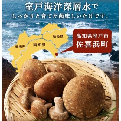 佐喜浜しいたけバラエティーセット 国産椎茸