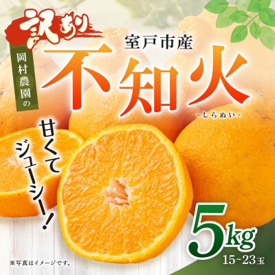 岡村農園の不知火【5kg】※訳あり品　柑橘　フルーツ