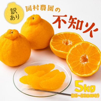 不知火 訳あり 5kg詰め合わせ (デコポンと同品種) 柑橘系果物 果物 柑橘類