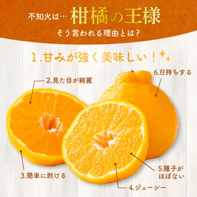 不知火 訳あり 5kg詰め合わせ (デコポンと同品種) 柑橘系果物 果物 柑橘類