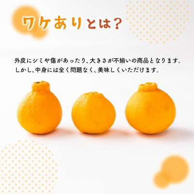 不知火 訳あり 5kg詰め合わせ (デコポンと同品種) 柑橘系果物 果物 柑橘類