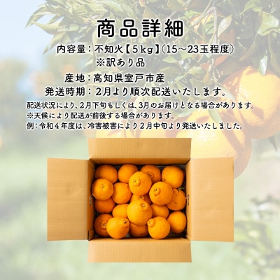 不知火 訳あり 5kg詰め合わせ (デコポンと同品種) 柑橘系果物 果物 柑橘類