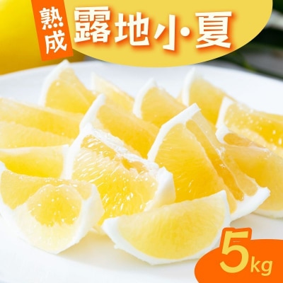 熟成　露地小夏　5kg