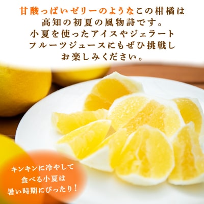 熟成　露地小夏　5kg