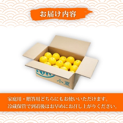 熟成　露地小夏　5kg