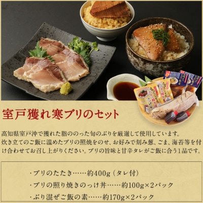 室戸の海からの贈り物(年12回定期便)