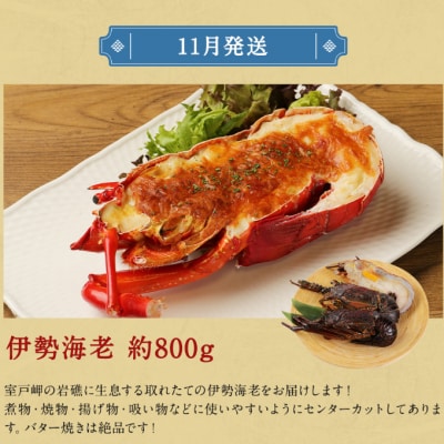 室戸の海からの贈り物(年12回定期便)