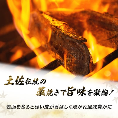 【完全100%わら焼き】かつおのたたき2節セット