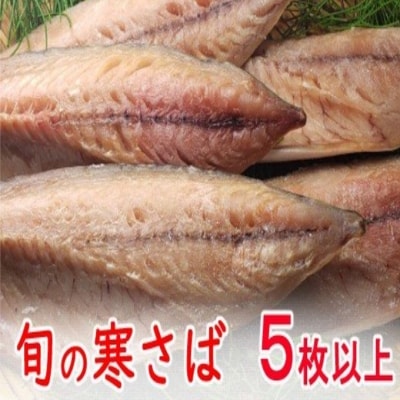 今だけ!室戸旬どれ寒さば干物5枚以上 