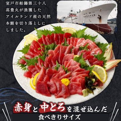 天然本マグロ(赤身・中とろ)切り落とし400g 刺身用 訳あり 海鮮漬け丼などアレンジさまざま