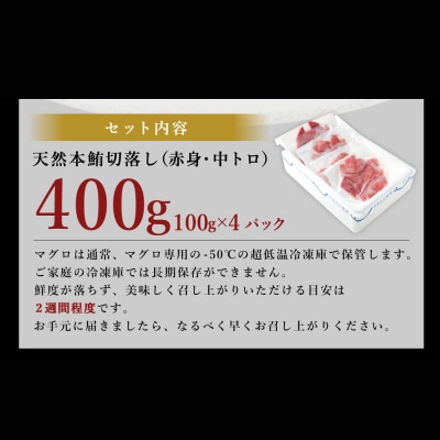 天然本マグロ(赤身・中とろ)切り落とし400g 刺身用 訳あり 海鮮漬け丼などアレンジさまざま