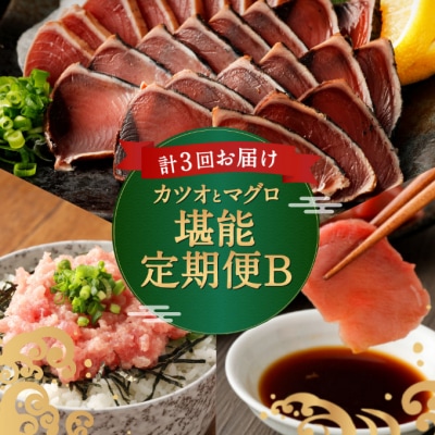 <3ヶ月連続>カツオとマグロ堪能定期便B 