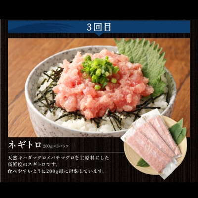 <3ヶ月連続>カツオとマグロ堪能定期便B 