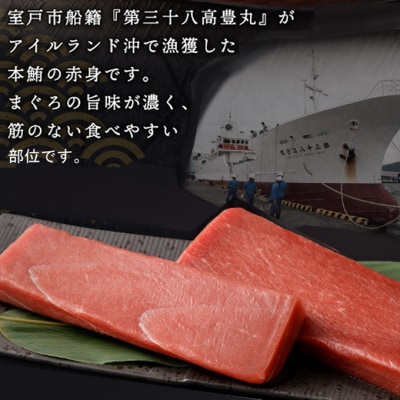 高豊丸 天然 本まぐろ【 赤身 サク 2～3本 】