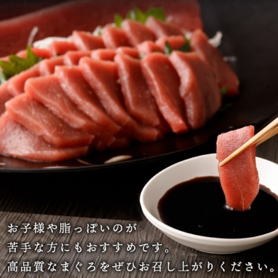 高豊丸 天然 本まぐろ【 赤身 サク 2～3本 】