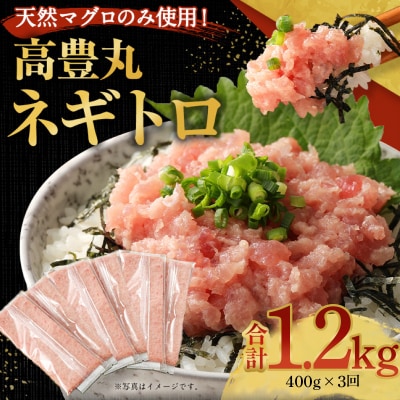 ねぎとろ(まぐろのたたき) 定期便 小分けセット ネギトロ丼や海鮮丼などアレンジさまざま