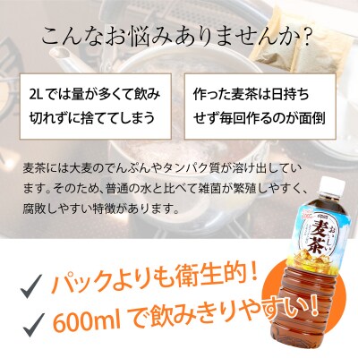 【年6回定期便】おいしい麦茶600ml お茶の定期便 ペットボトル飲料 ドリンク ミネラル入り