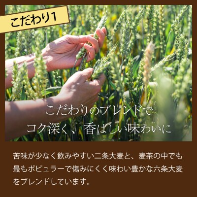 【年6回定期便】おいしい麦茶600ml お茶の定期便 ペットボトル飲料 ドリンク ミネラル入り