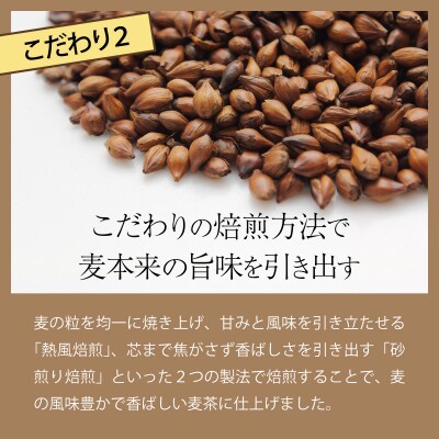 【年6回定期便】おいしい麦茶600ml お茶の定期便 ペットボトル飲料 ドリンク ミネラル入り