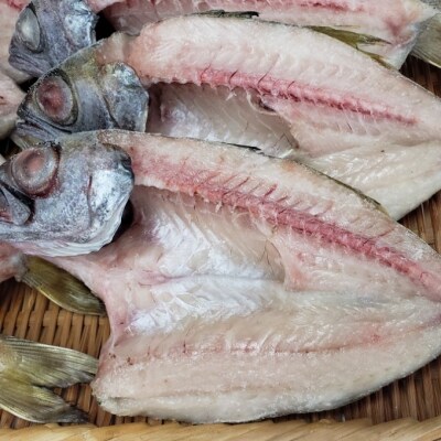 高級魚むつのひらき