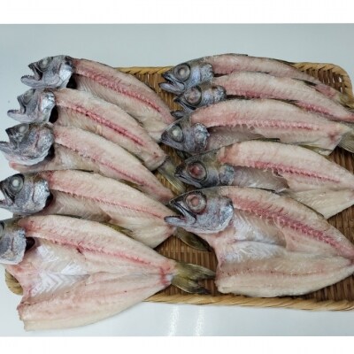 高級魚むつのひらき