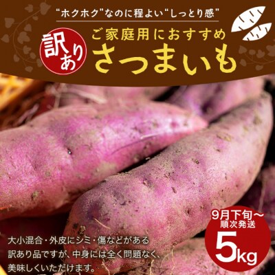 【ご家庭用】さつまいも5kg