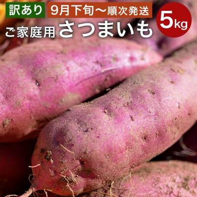 【ご家庭用】さつまいも5kg